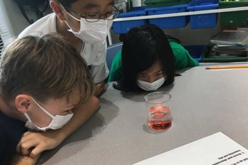 Three boys in science class staring at a beaker waiting for a reaction.