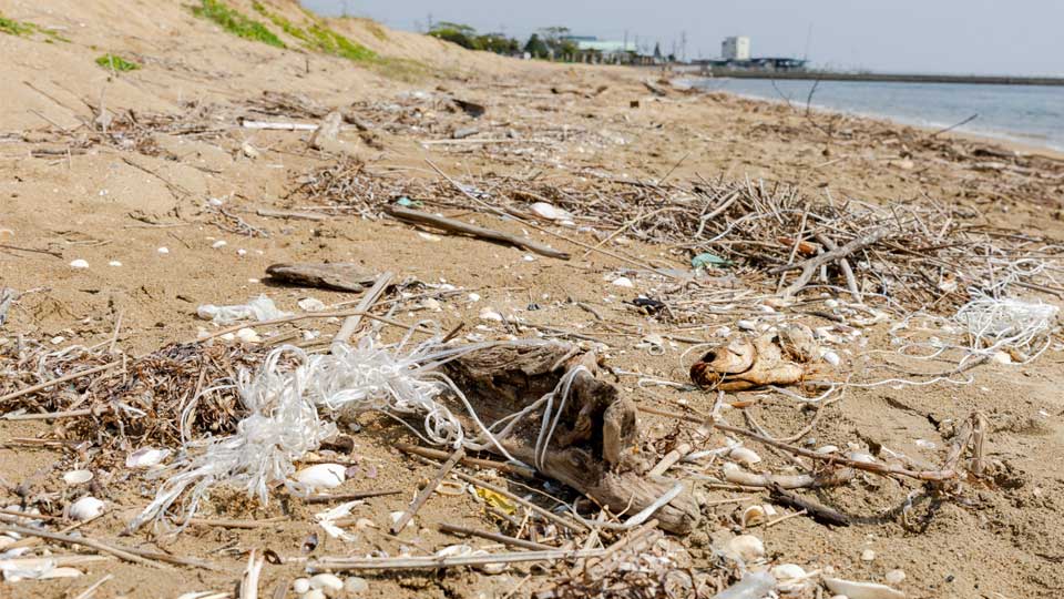 NIS student clean trash of Japan beach