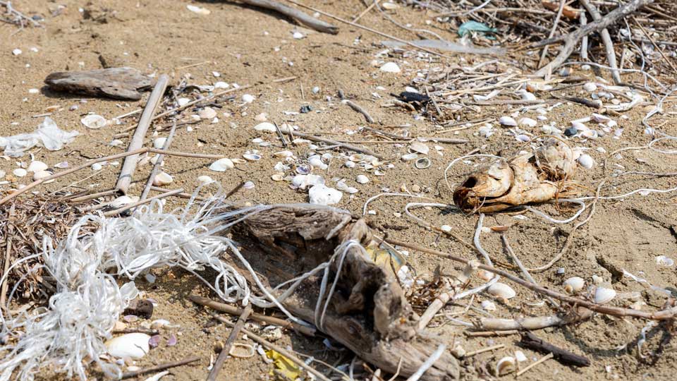 NIS student clean trash of Japan beach